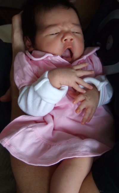 20090703_ewww_pink