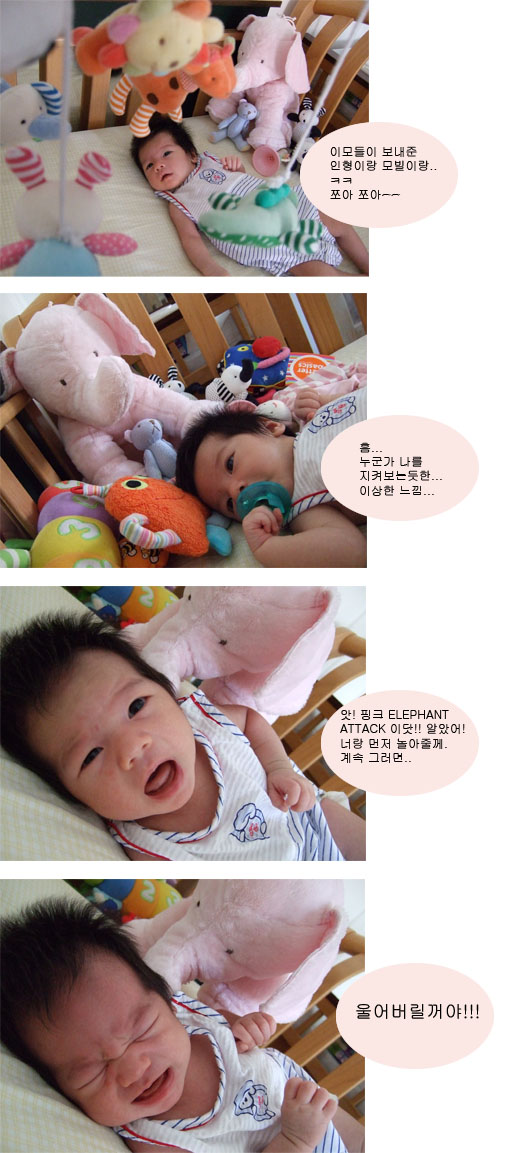 elephant_attack