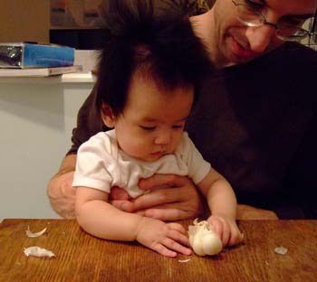 whatisgarlic